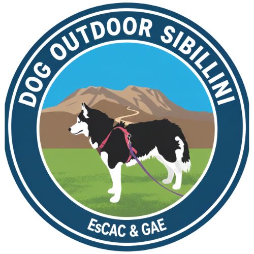 The Dutch Dog di Claudia Tomassini